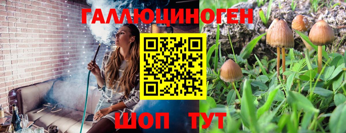 Галлюциногенные грибы GOLDEN TEACHER  Псилоцибиновые грибы Magic Shrooms  Канаш  Вход с VPN 